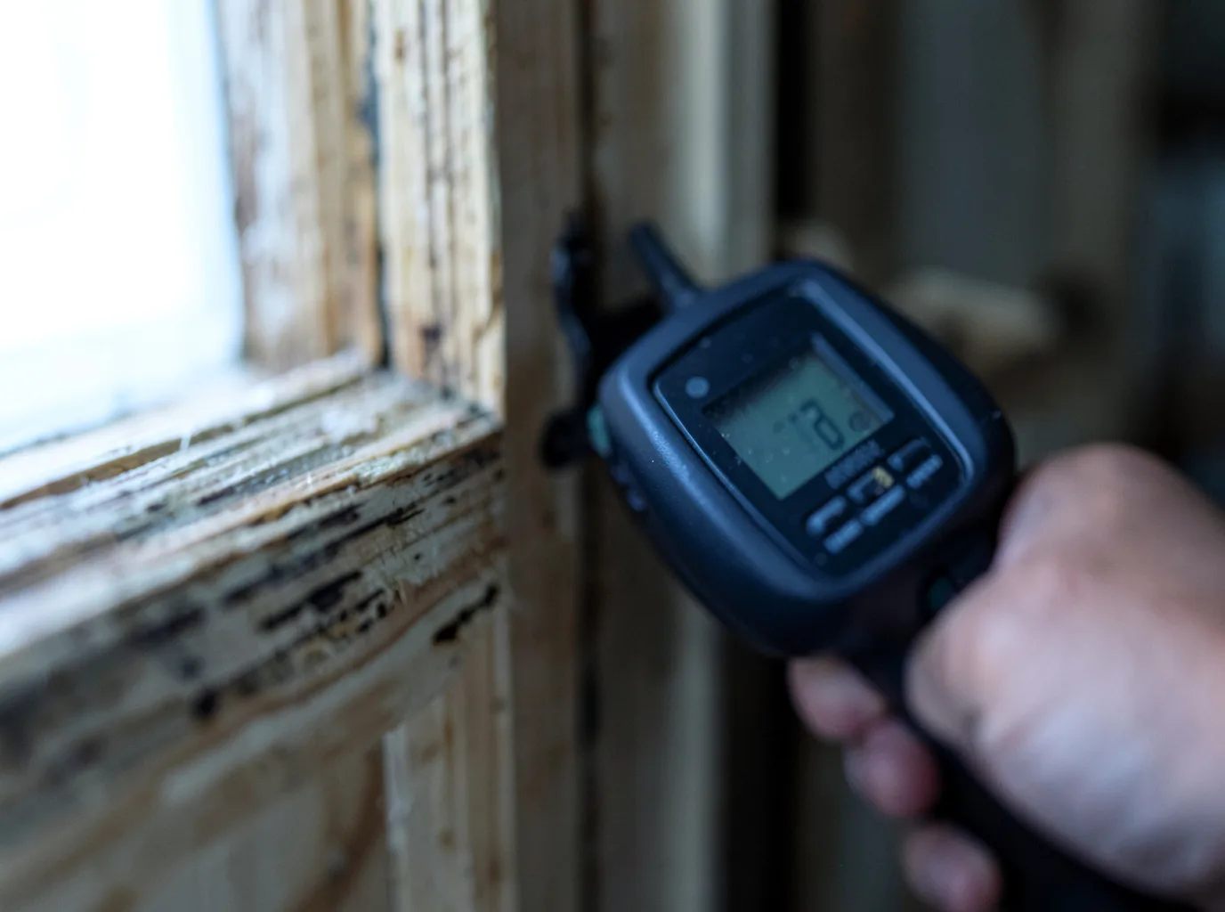 Ceiling Water Damage Repair in Williams, MN